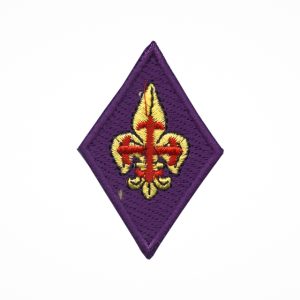 Distintivo Assistente Regional