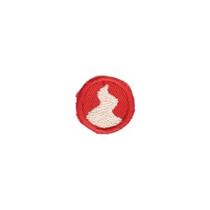 Distintivo Caminho | 4.ª Secção