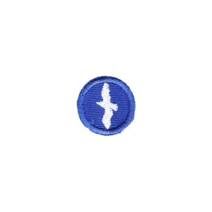 Distintivo Desprendimento | 3.ª Secção