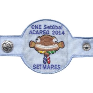 Anilha “ACAREG 2014”