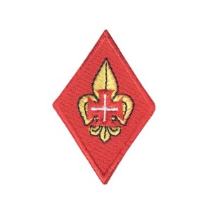 Distintivo Chefe Agrupamento