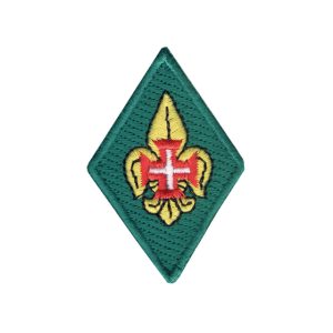 Distintivo Chefe Unidade