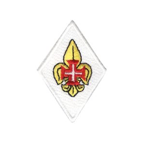 Distintivo Chefe Nacional Adjunto