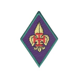Distintivo Membro Mesa Conselho Regional
