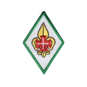 Distintivo Presidente Mesa Conselho Nacional