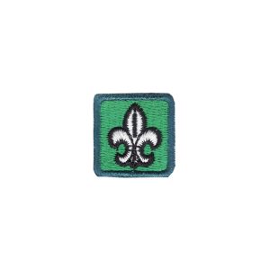 Distintivo Secção Explorador