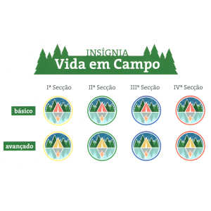 Insígnia Vida em Campo